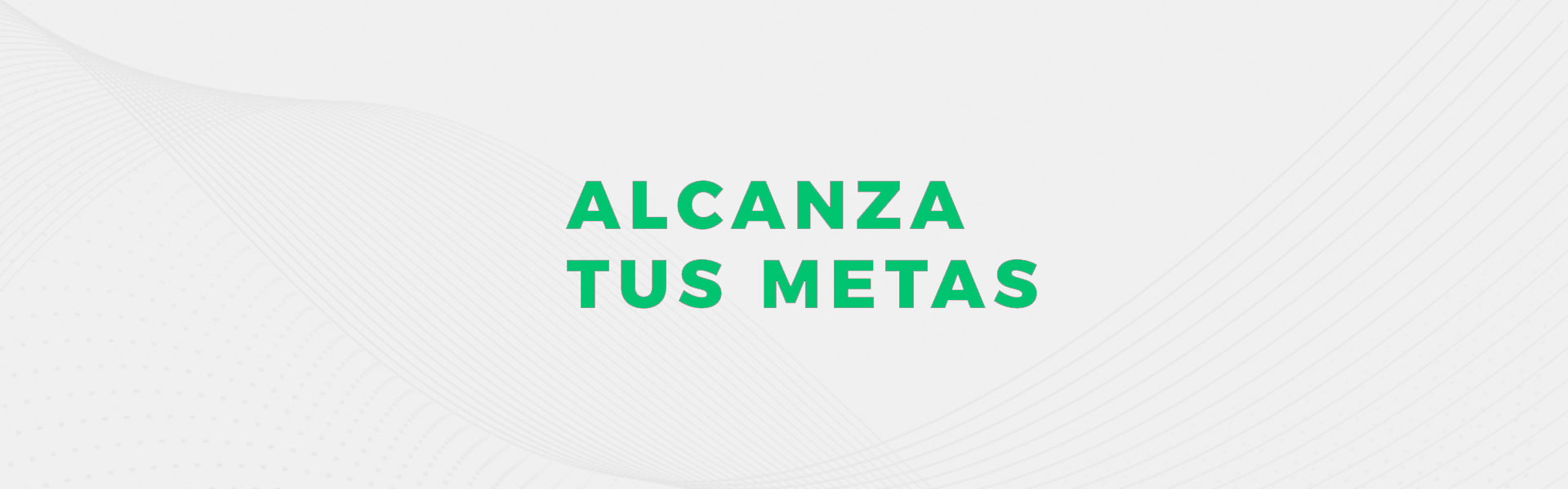 ALCANZA TUS METAS